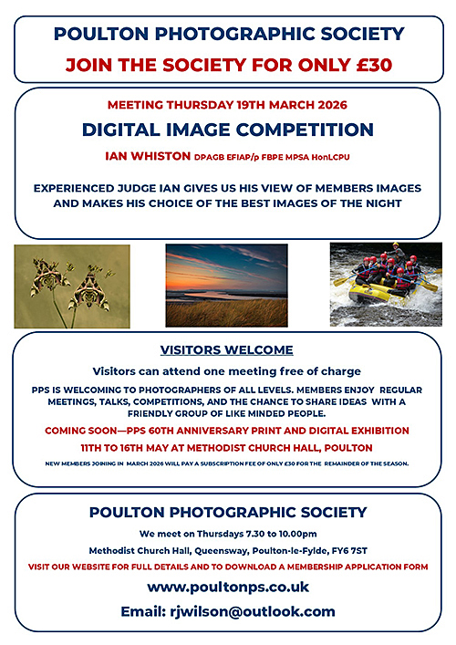 26Mar19 DPI Comp.jpg